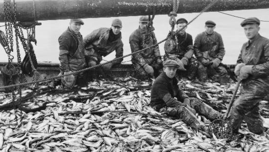 Sildefiskarar på 1940-talet